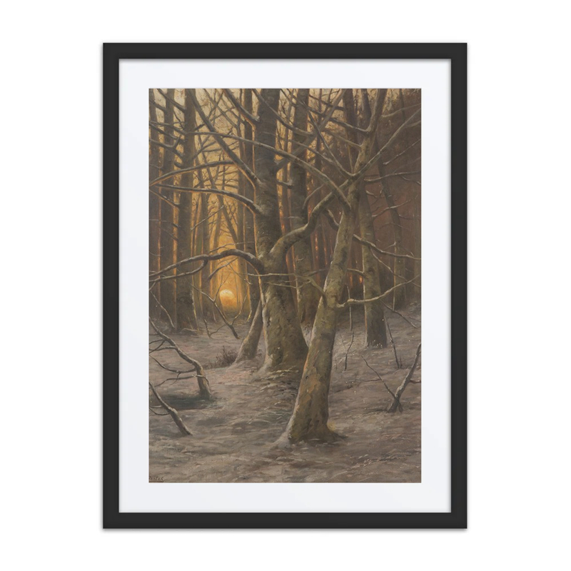 Winter Early Evening