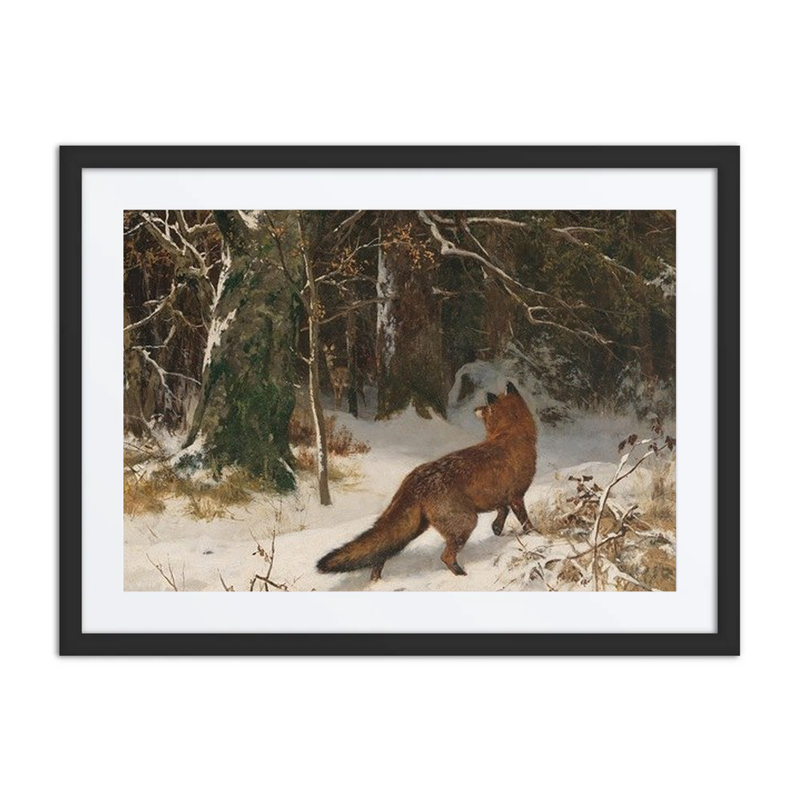 Winter Encounter