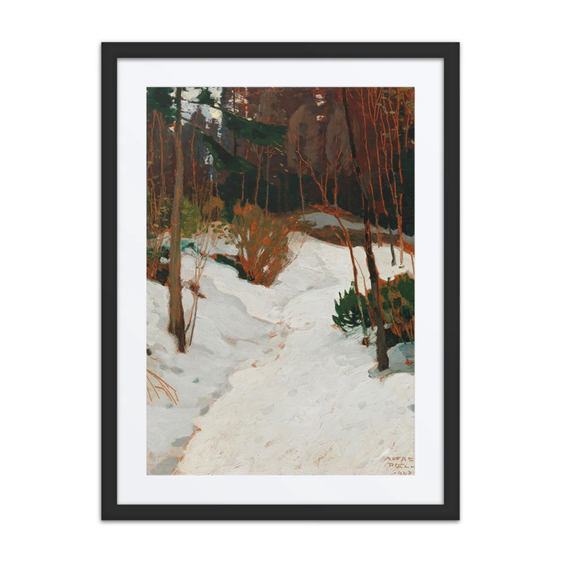 Winter Forest