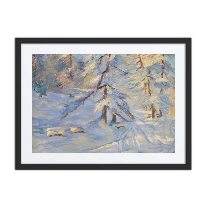 Winter Forest in Sunlight