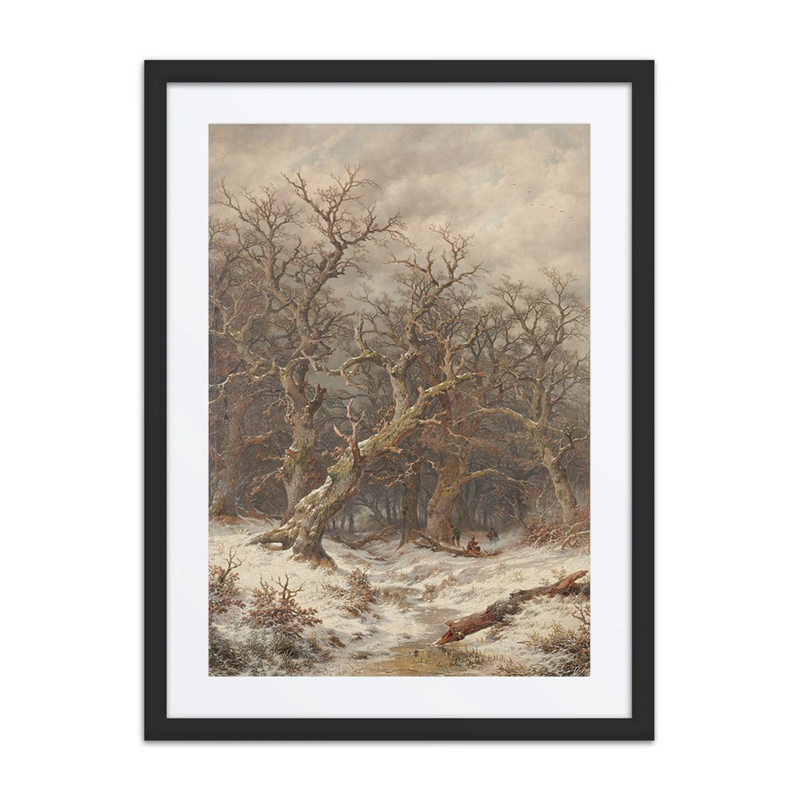 Winter Forest