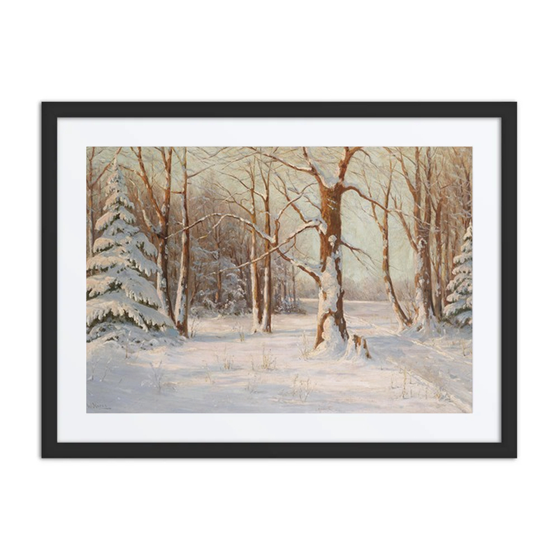 Winter Forest