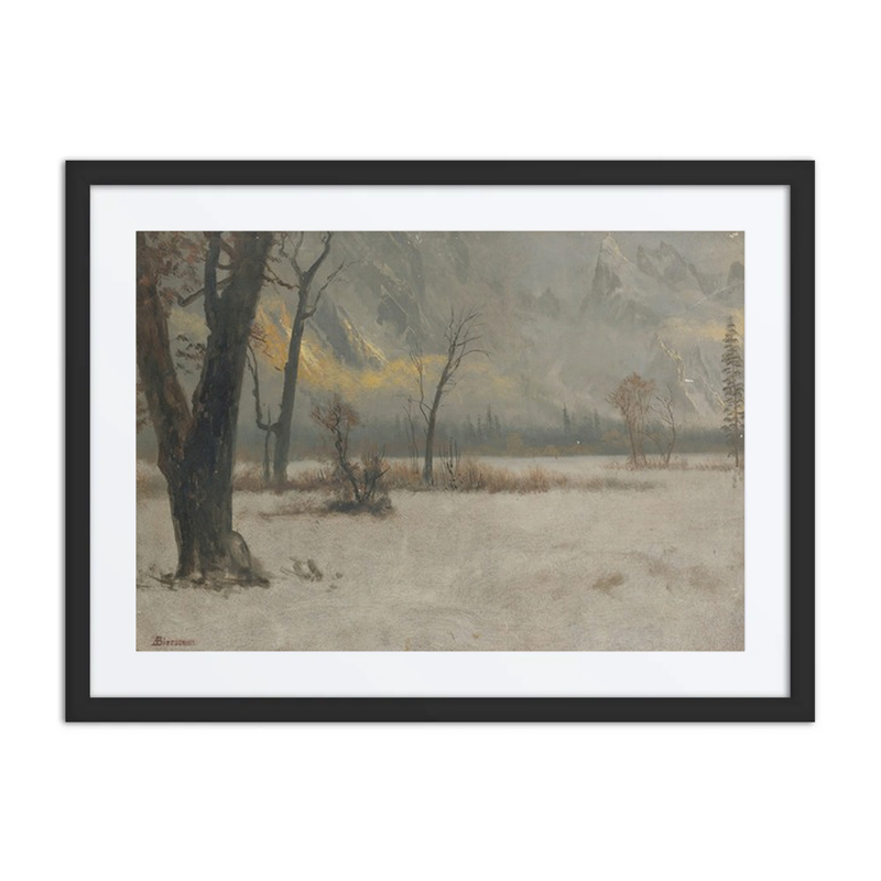 Winter Landscape