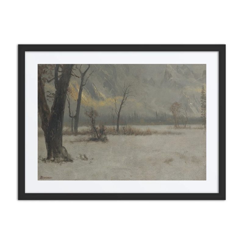 Winter Landscape