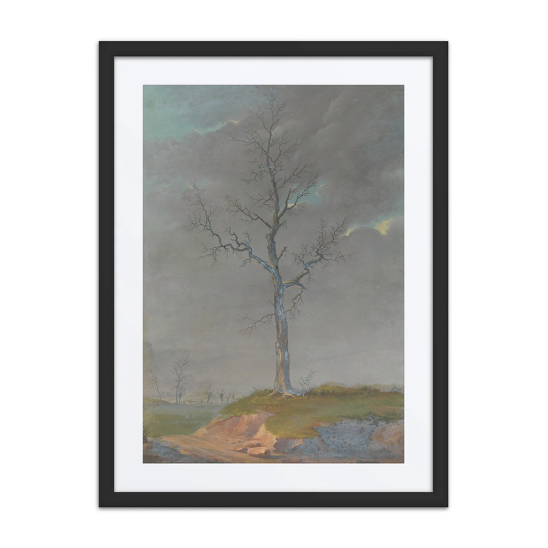 Winter Landscape