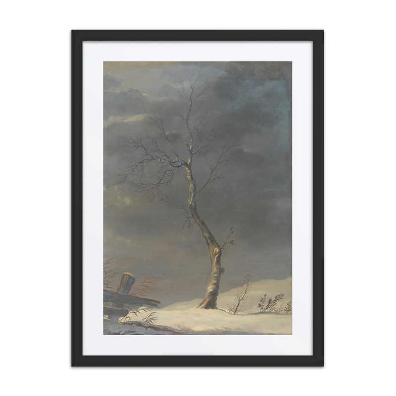 Winter Landscape