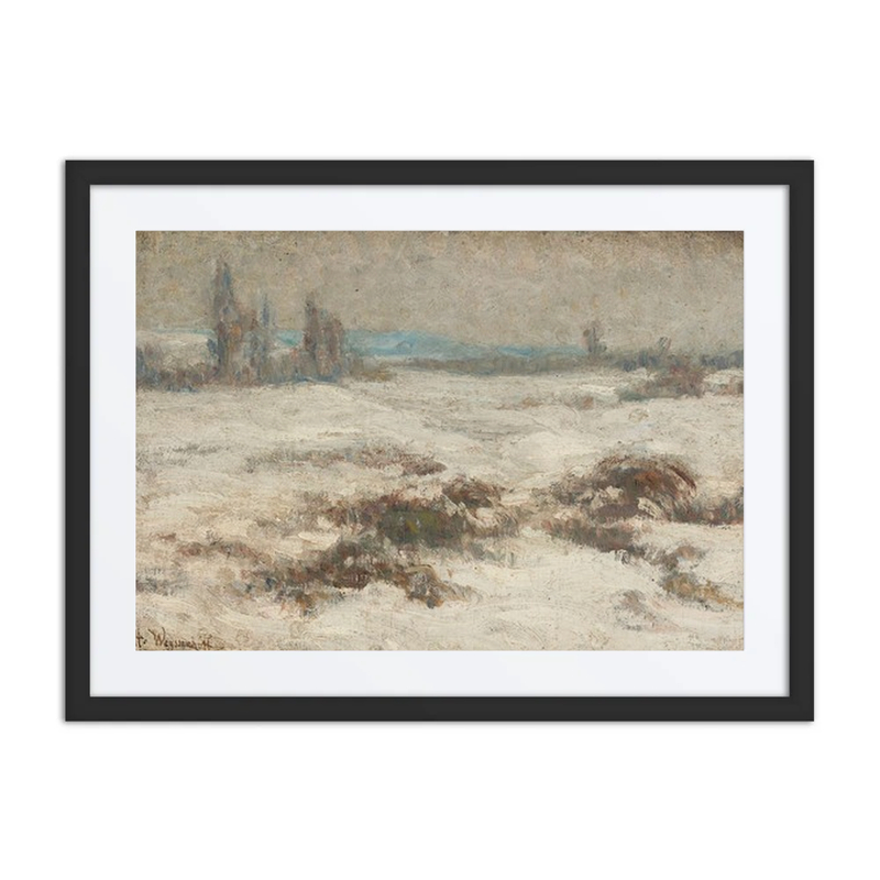 Winter Landscape