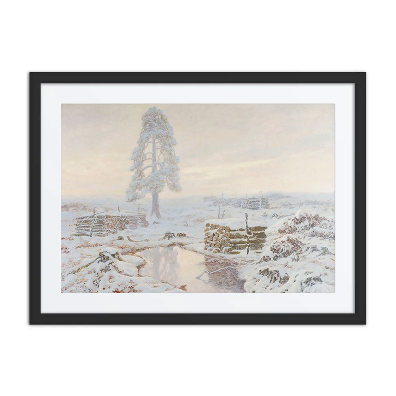 Winter Landscape
