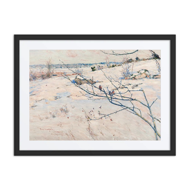 Winter Landscape