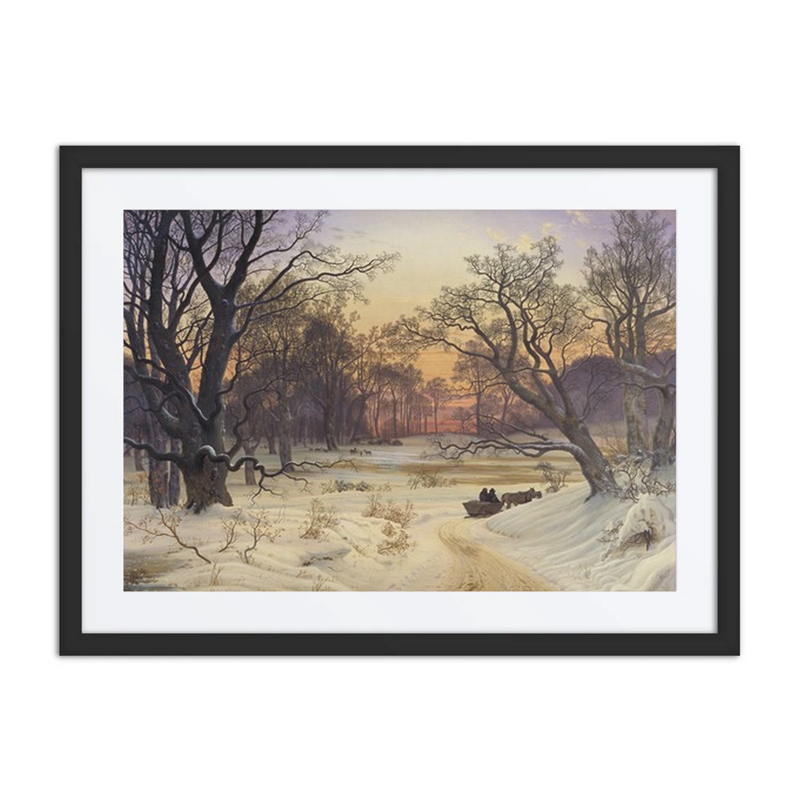 Winter Night in a Forest