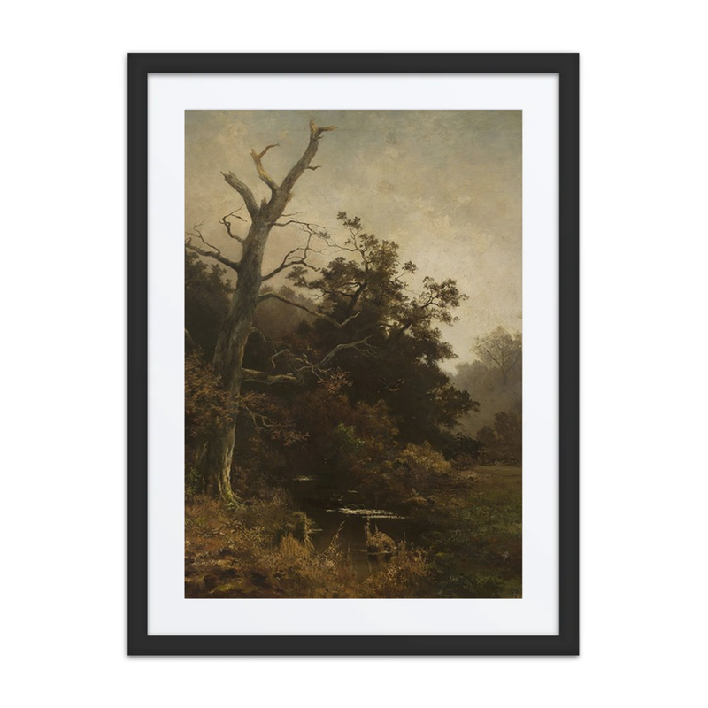 Withered Tree on a River Bank
