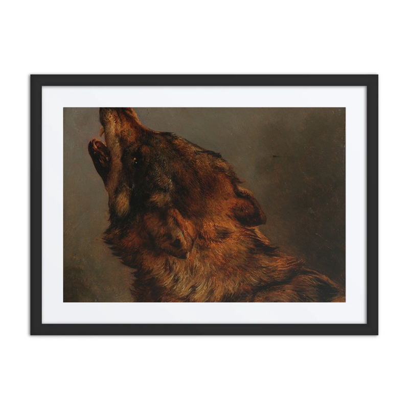 Wolf’s Head