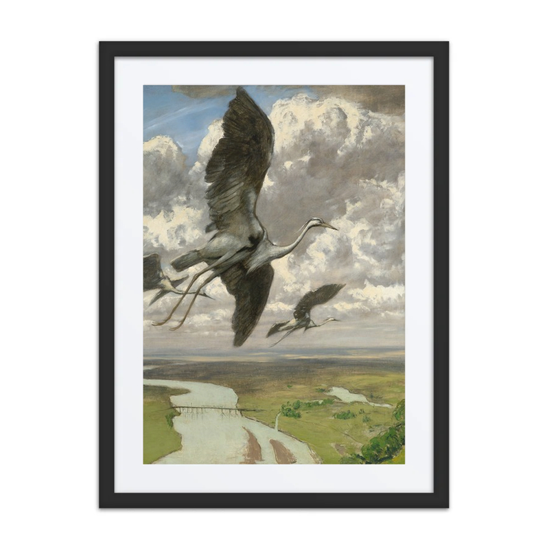 Wondrous Birds