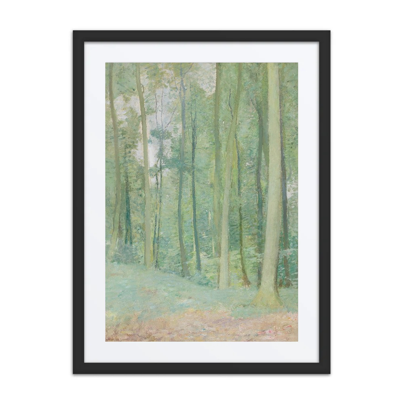Wooded Landscape