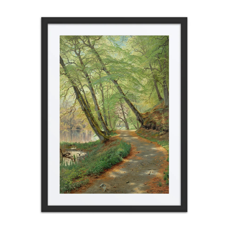 Wooded Path by a River