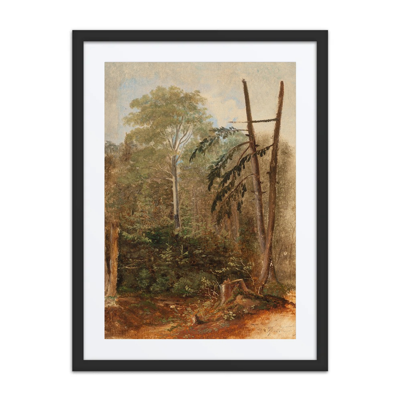 Woodland Landscape