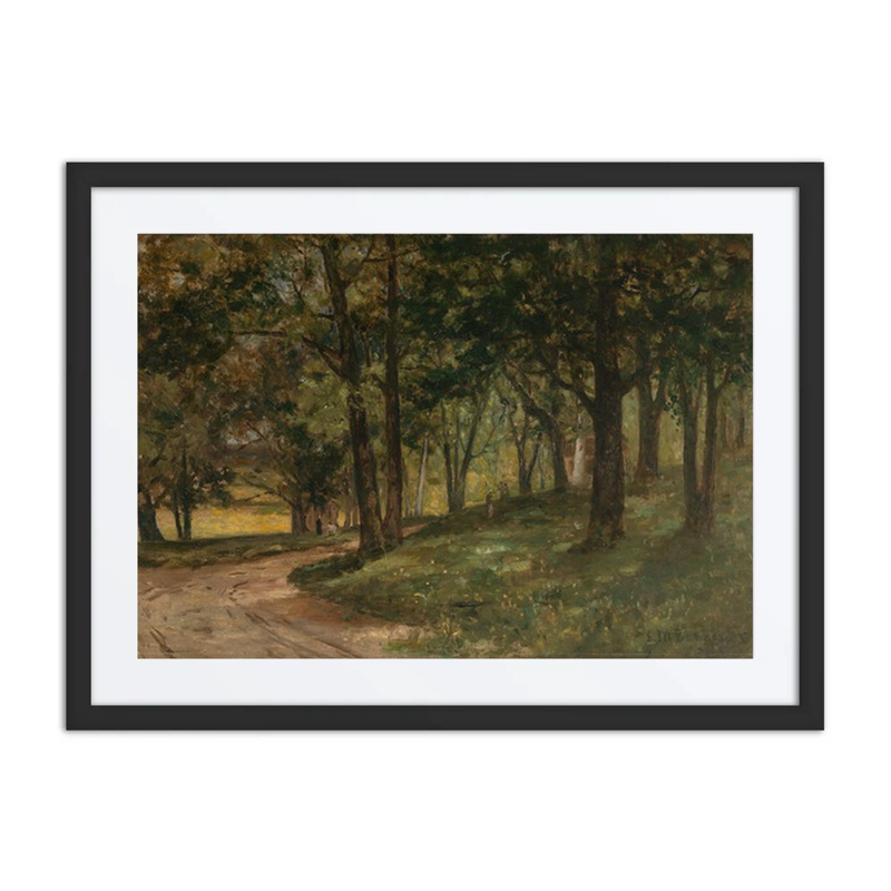 Woodland Path