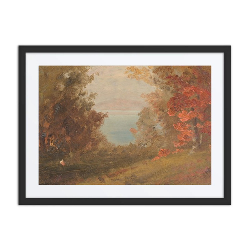 Woodland Scene in Autumn