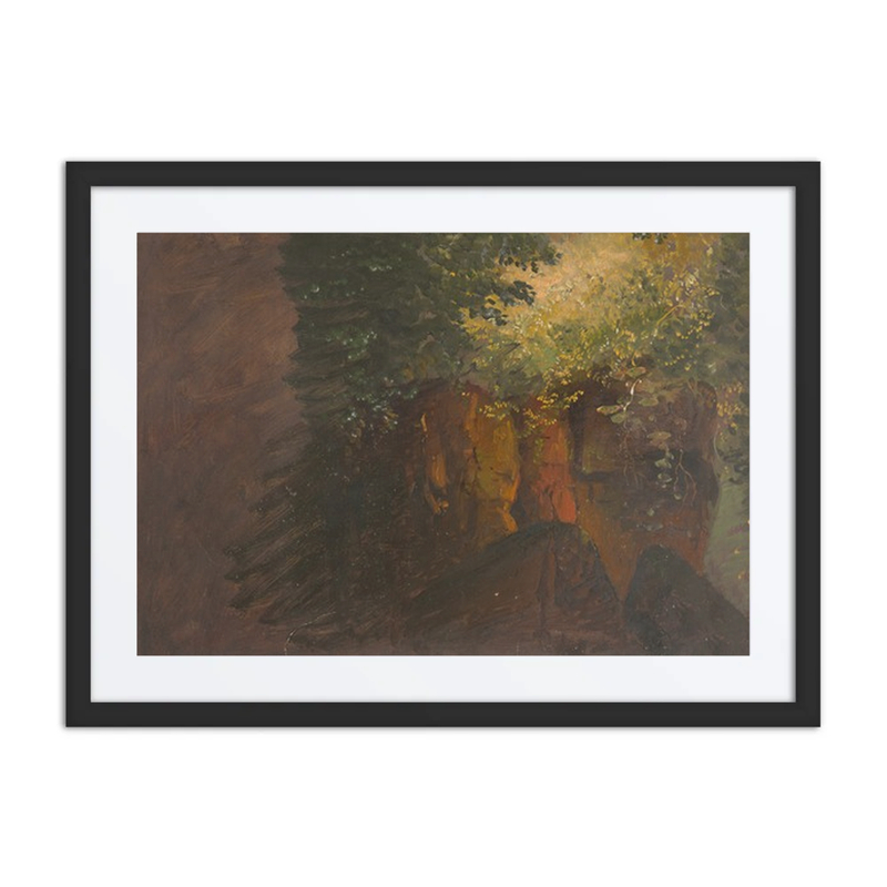 Woodland Scene with Rocks