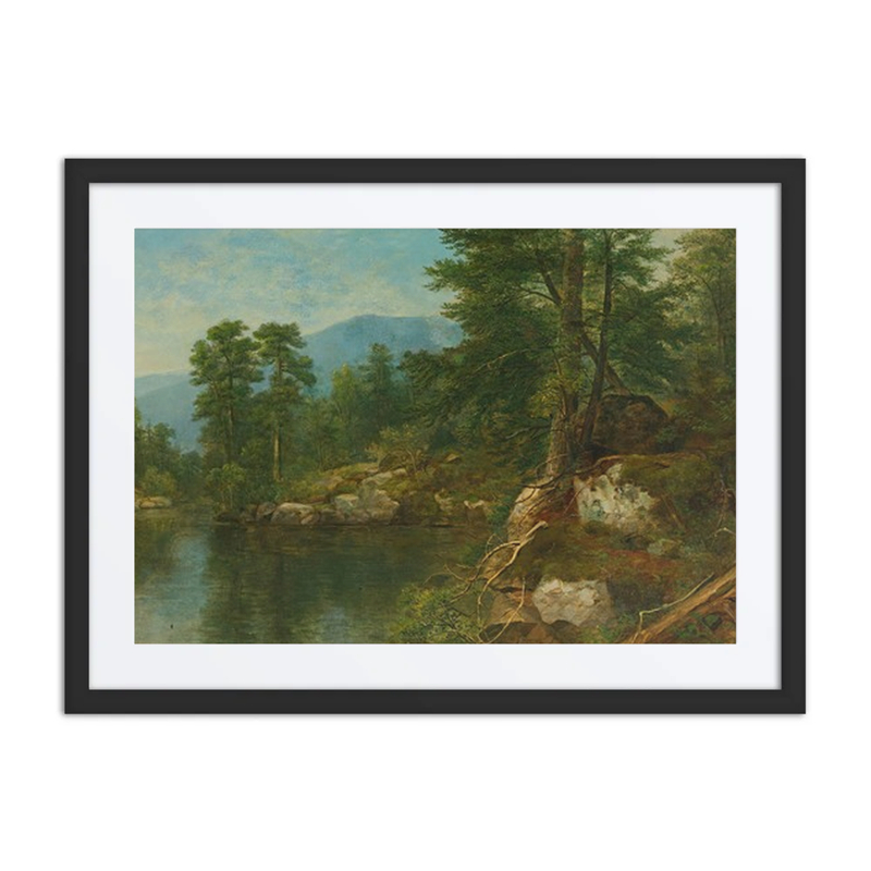 Woods by a River