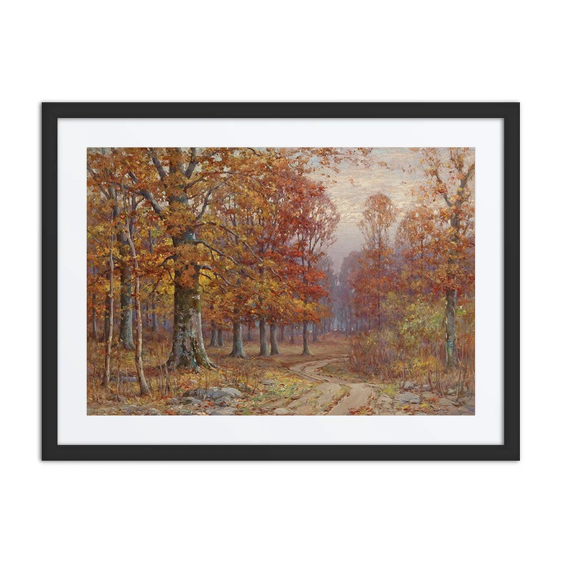Woods Interior