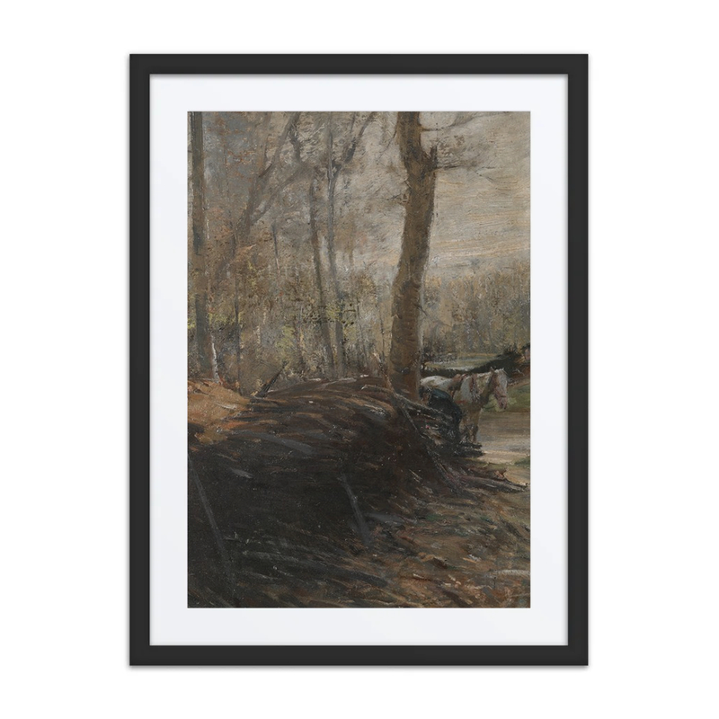 Woods Scene