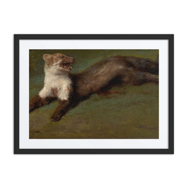 Wounded Pine Marten