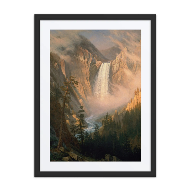 Yellowstone Falls